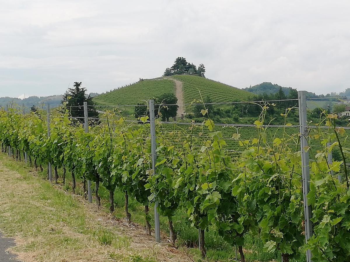La Giribaldina Winery & Farmhouse Calamandrana Exterior photo